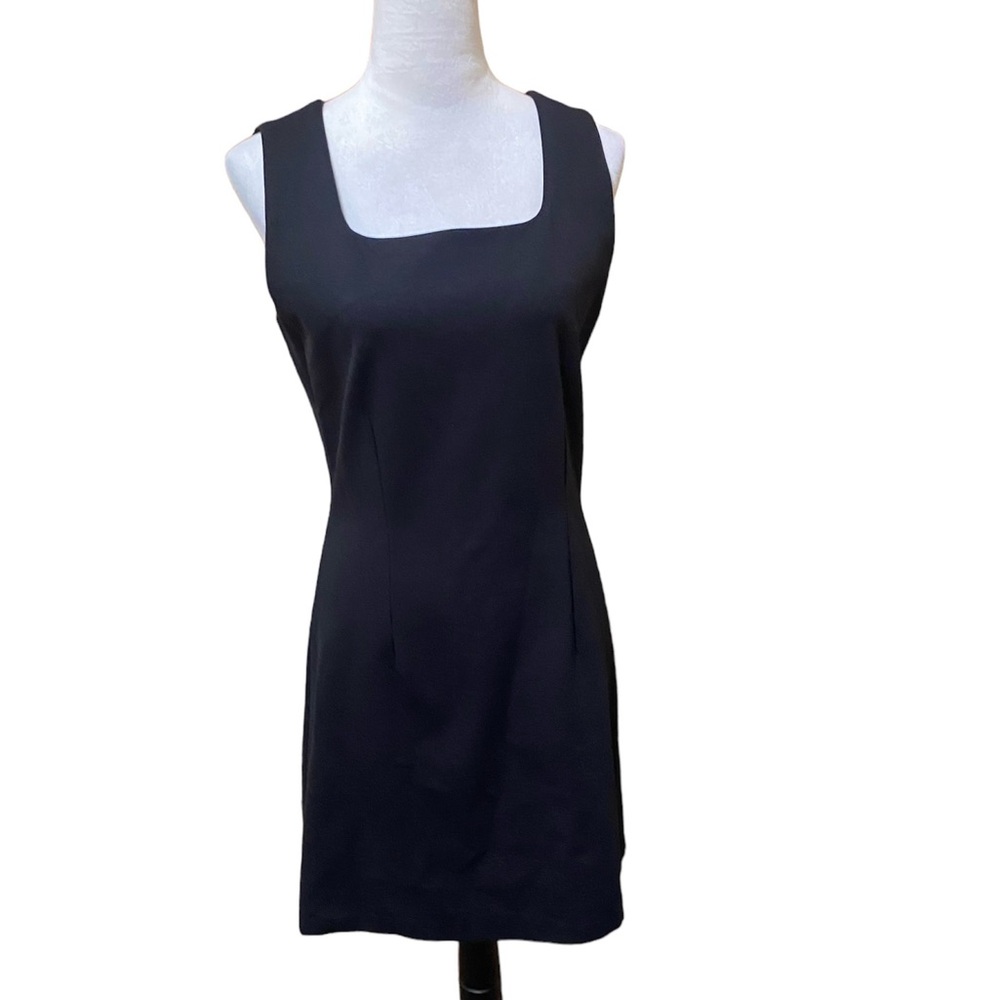 Isabella Bird Square Neck Sheath Dress